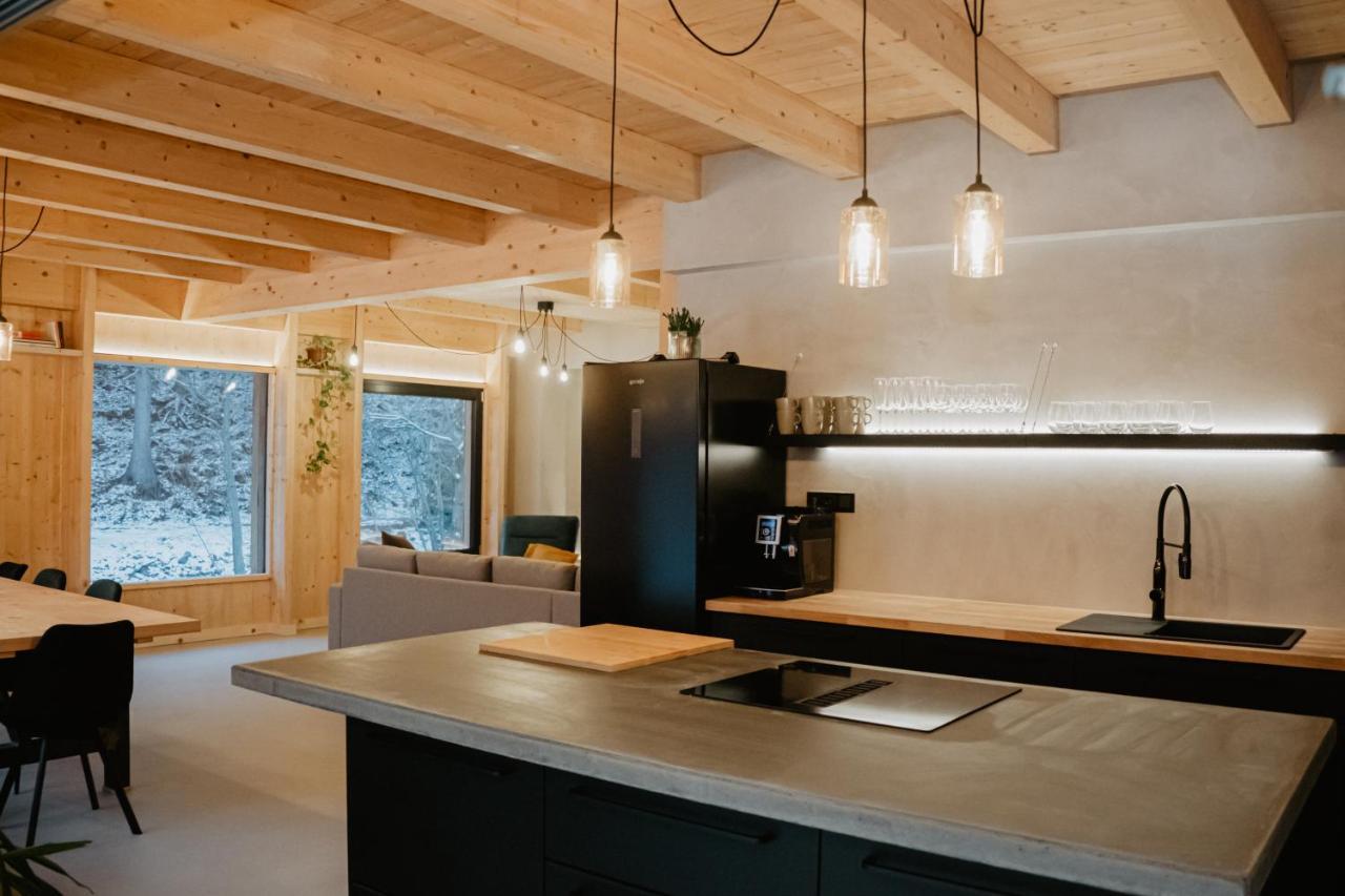 Vila Vagusbouda / Hogo& Loučná nad Desnou Exteriér fotografie
