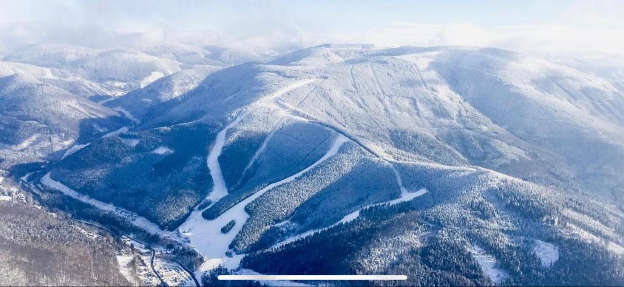 Vila Vagusbouda / Hogo& Loučná nad Desnou Exteriér fotografie