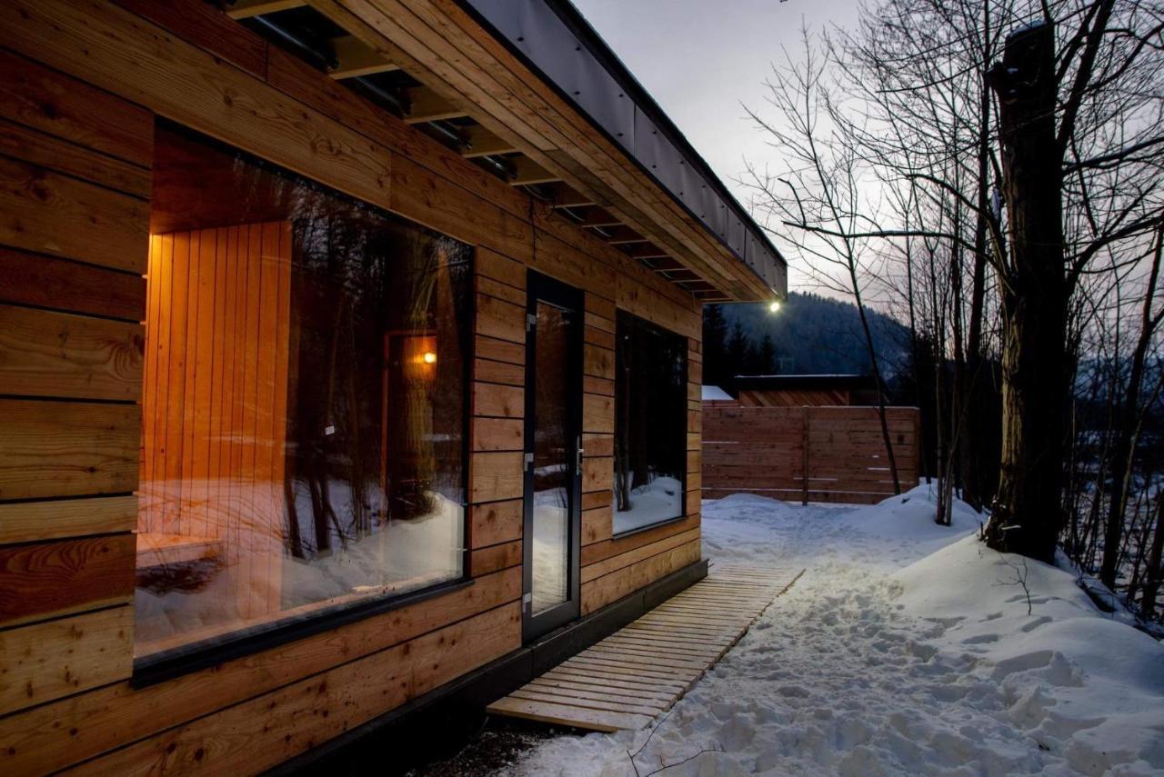 Vila Vagusbouda / Hogo& Loučná nad Desnou Exteriér fotografie